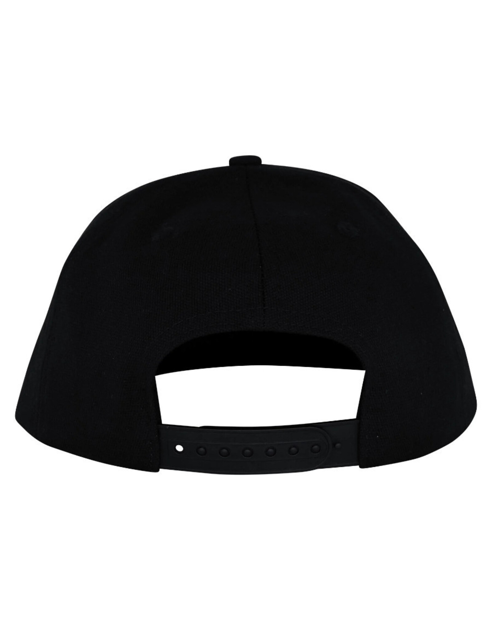 Santa Cruz Santa Cruz Hat Eric Dressen Celtic Dogs Structured Snapback (Black)