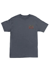 Santa Cruz Santa Cruz Tee Dressen Evo Heavyweight S/S (Charcoal)