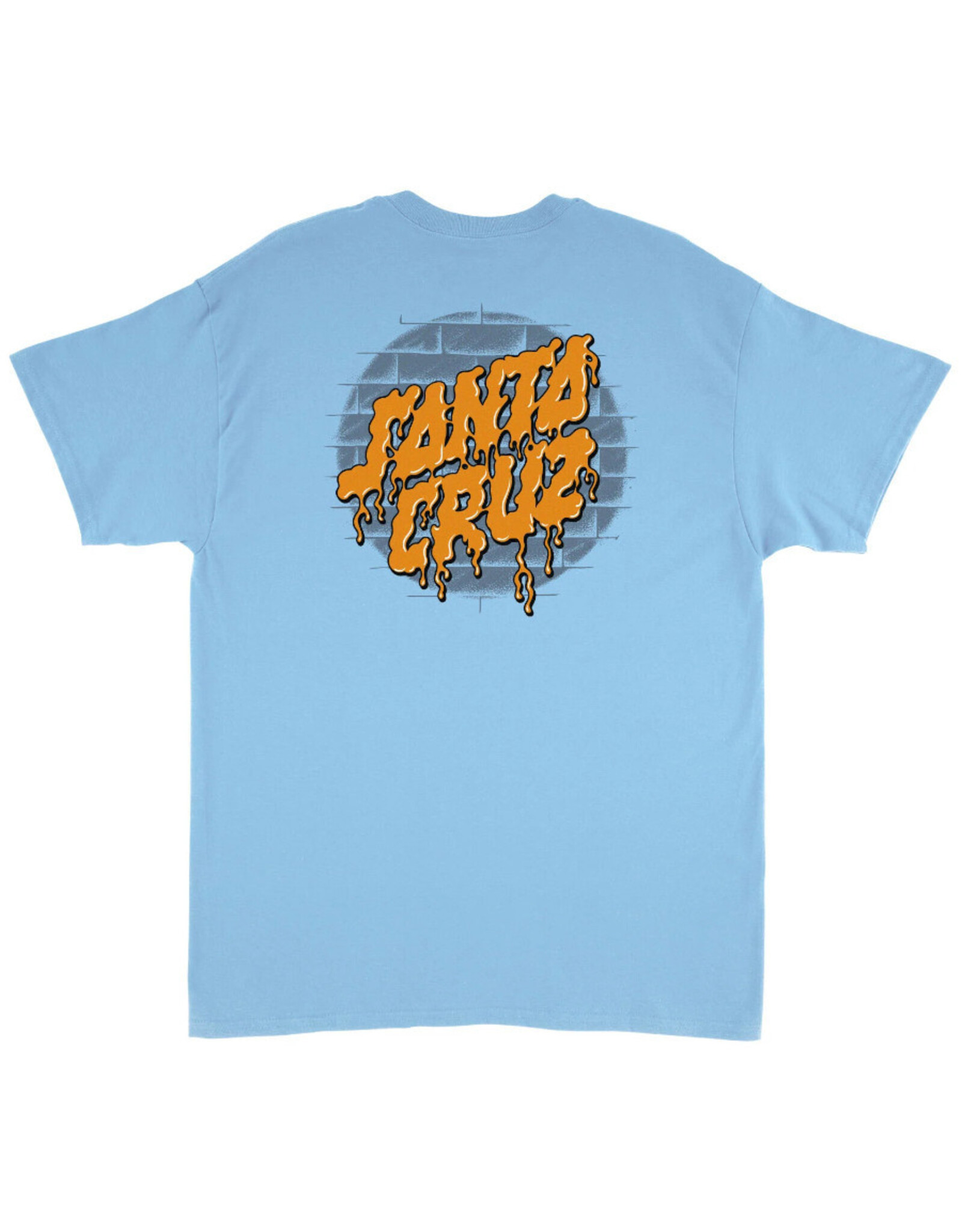 Santa Cruz Santa Cruz Tee Fabiana Delfino Spotlight Dot Heavyweight S/S (Sky Blue)