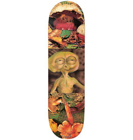 Baker Baker Deck Casper Brooker Block Busters (8.25)