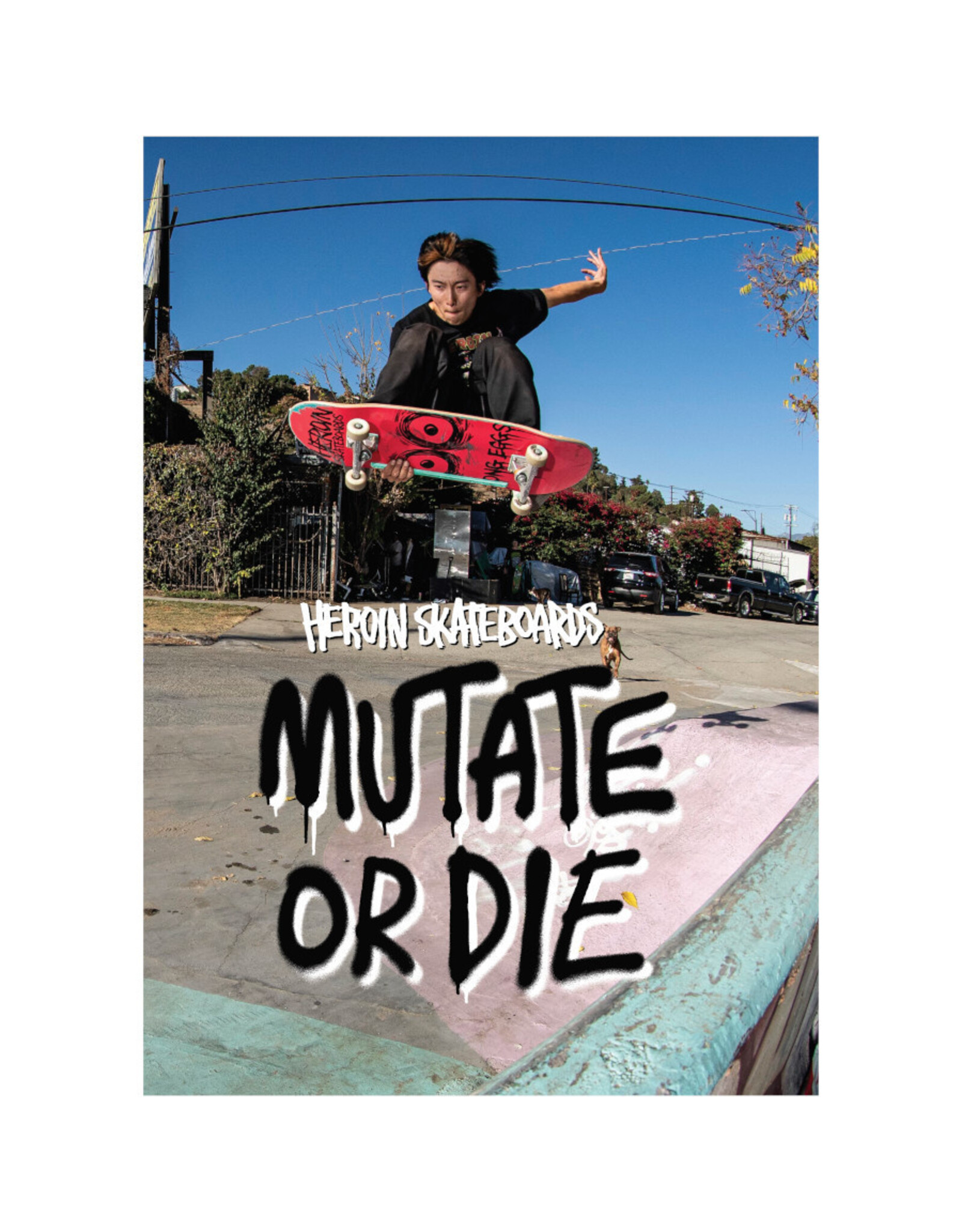 Heroin Heroin DVD Mutate Or Die