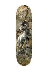 Zero Skateboards Zero Deck Adam Arunski Realtree Bighorn (8.5)