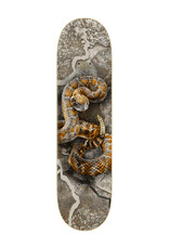 Zero Skateboards Zero Deck Brandon Burleigh Realtree Rattlesnake (8.5)