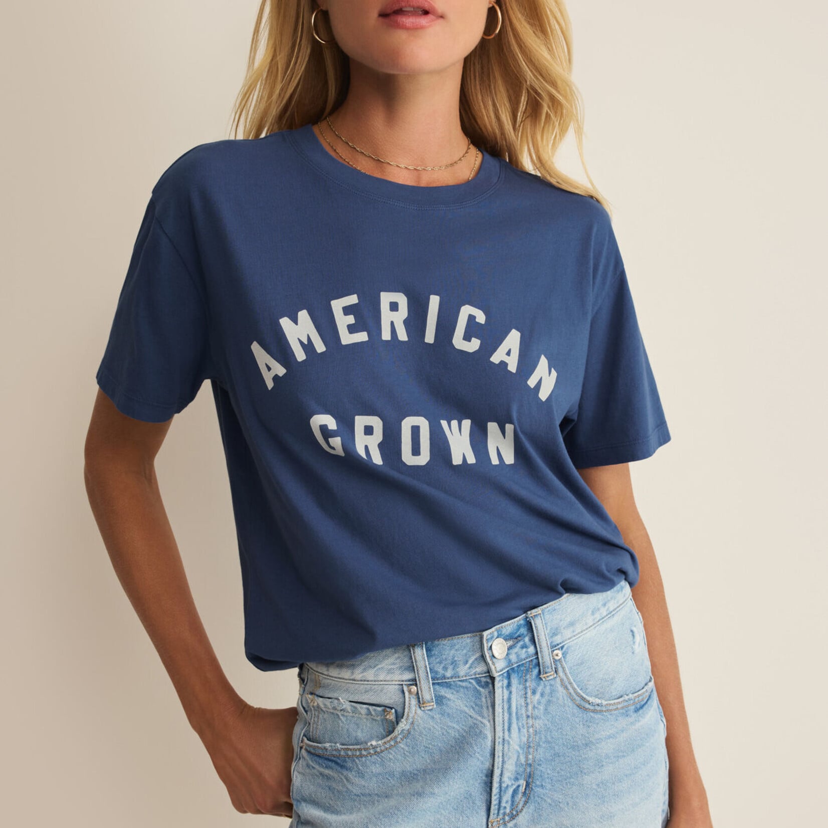 Z Supply Z Supply Boyfriend Tee American