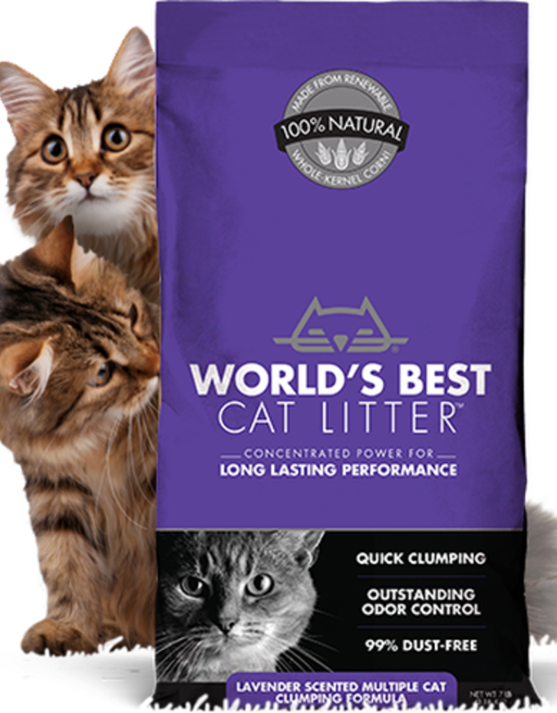 World's best litter lavender Clearance