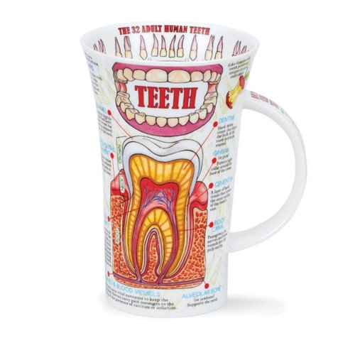 Dunoon Dunoon Glencoe Teeth Mug Dunoon Dunoon Glencoe Teeth Mug