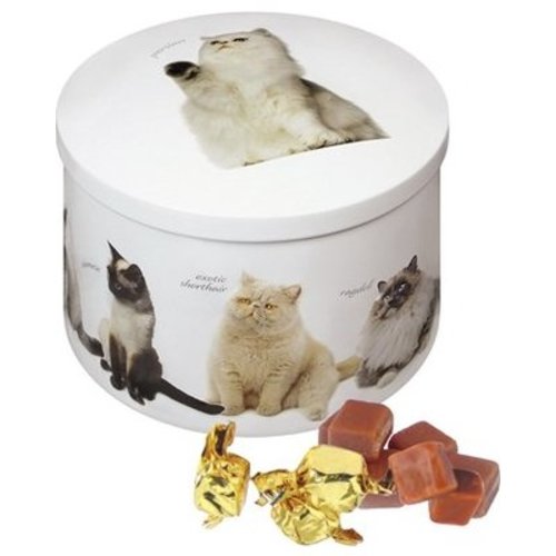 Gardiners of Scotland Gardiners Cat Vanilla Fudge Round 200g Gardiners of Scotland Gardiners Cat Vanilla Fudge Round 200g