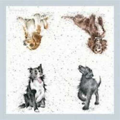 Wrendale Wrendale Walkies Napkins Luncheon Wrendale Wrendale Walkies Napkins Luncheon