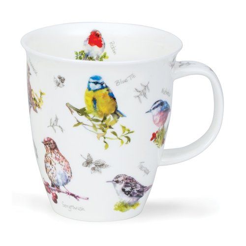 Dunoon Dunoon Nevis Birdwatch Blue Tit Dunoon Dunoon Nevis Birdwatch Blue Tit