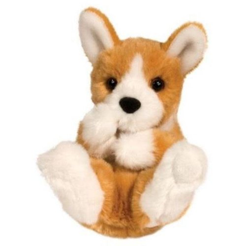 douglas Corgi Puppy Lil Handful douglas Corgi Puppy Lil Handful