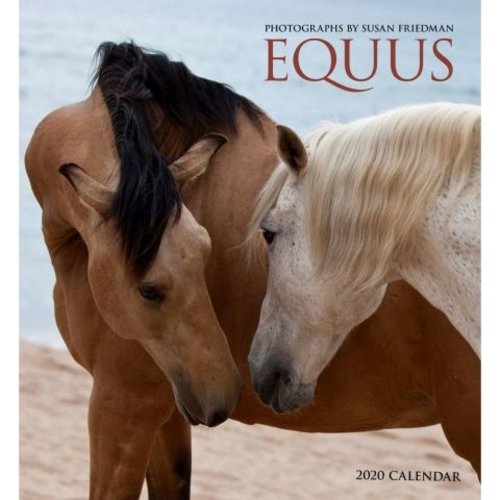 Pomegranate Equus 2020 Wall Calendar Pomegranate Equus 2020 Wall Calendar