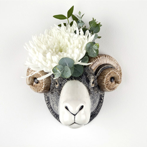 Quail Ceramics Quail Swaledale Sheep Wall Vase Quail Ceramics Quail Swaledale Sheep Wall Vase