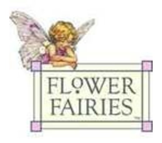 Flower Fairies