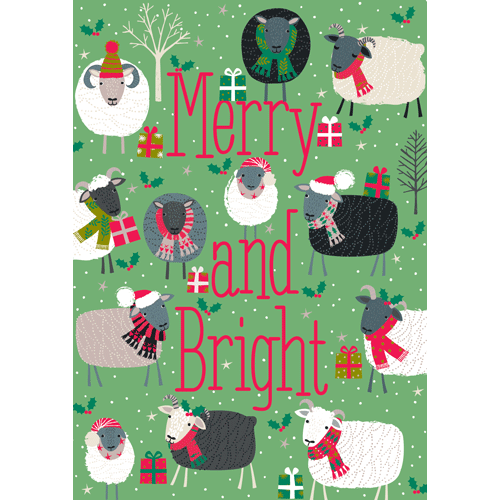 Caspari Merry and Bright Boxed Christmas Cards Caspari Merry and Bright Boxed Christmas Cards