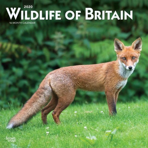 Wildlife of Britain Calendar 2020 Wildlife of Britain Calendar 2020