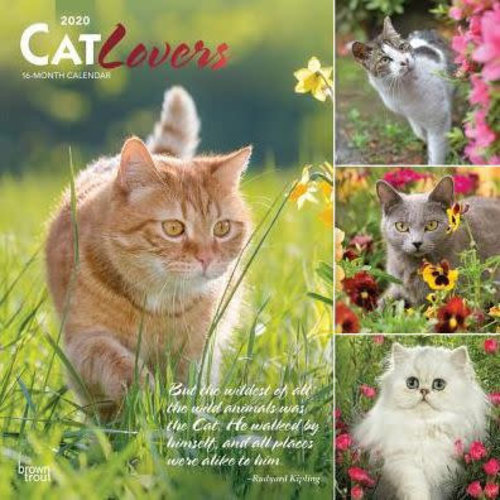 Cat Lovers 2020 Calendar Cat Lovers 2020 Calendar