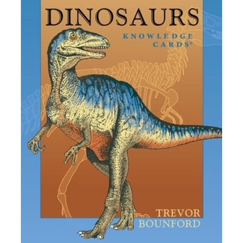 Dinosaurs Knowledge Cards Dinosaurs Knowledge Cards