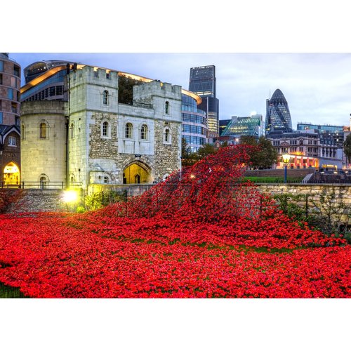 Wentworth Wooden Puzzles Wentworth Wooden Puzzle Tower of London Remembrance 500 Pieces Wentworth Wooden Puzzles Wentworth Wooden Puzzle Tower of London Remembrance 500 Pieces