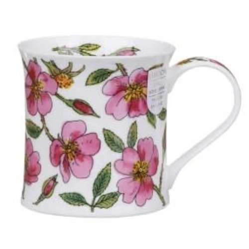 Dunoon Dunoon Wessex Hedgerow Rose Dunoon Dunoon Wessex Hedgerow Rose