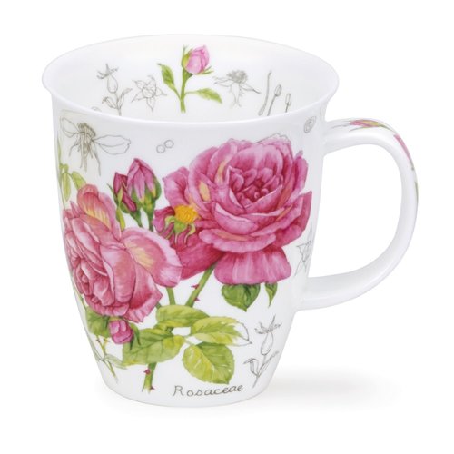 Dunoon Nevis Floral Sketch Rose Mug Dunoon Nevis Floral Sketch Rose Mug