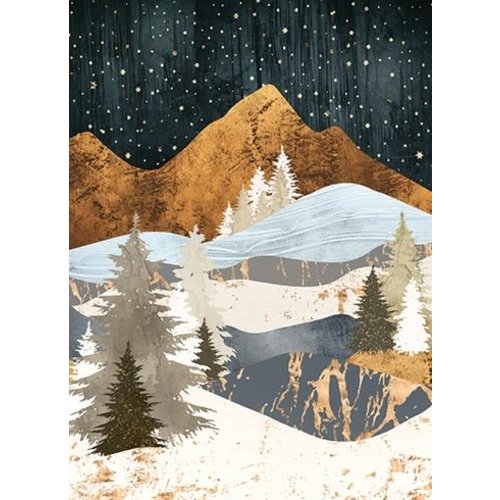 Winter Stars Boxed Cards Winter Stars Boxed Cards