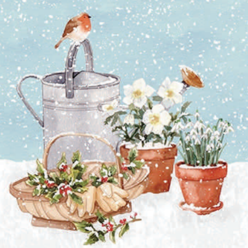 Robin & Watering Can Christmas Cards Robin & Watering Can Christmas Cards