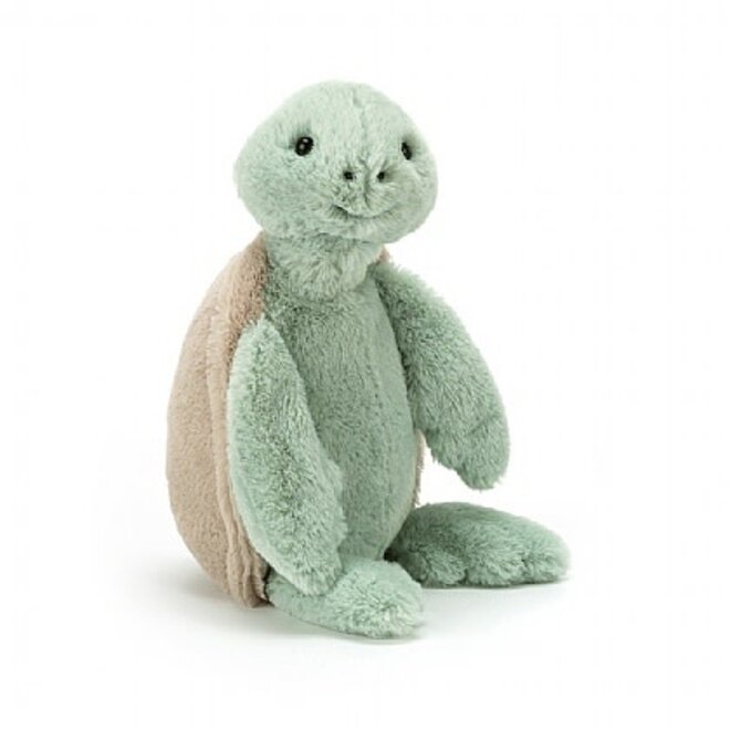 Bashful Turtle, Medium