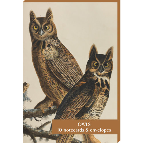Audubon Owls Cards and Envelopes Audubon Owls Cards and Envelopes