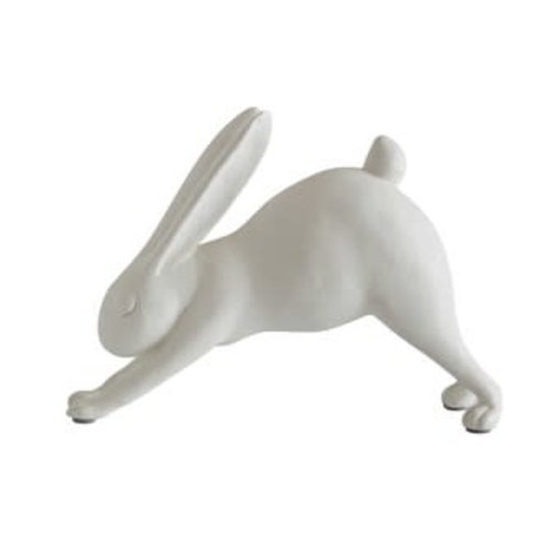 Downward Dog Yoga Rabbit Downward Dog Yoga Rabbit