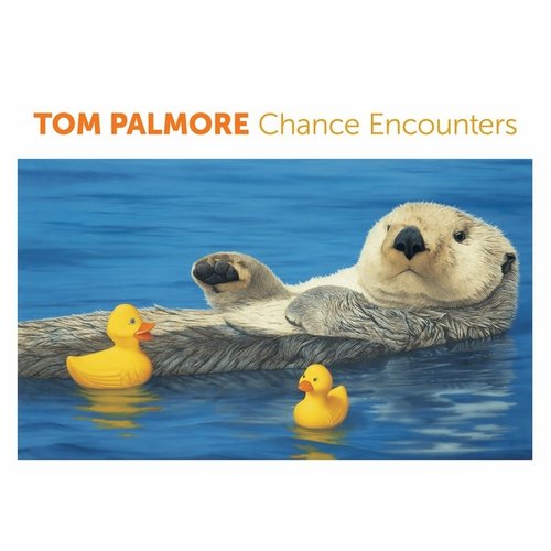 Pomegranate Chance Encounters Notecards Pomegranate Chance Encounters Notecards
