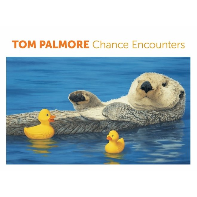 Tom Palmore Chance Encounters Notecards