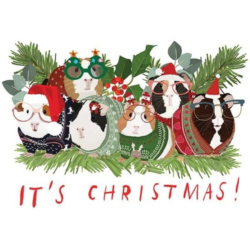 Guinea Pigs In Christmas Sweaters Card Guinea Pigs In Christmas Sweaters Card