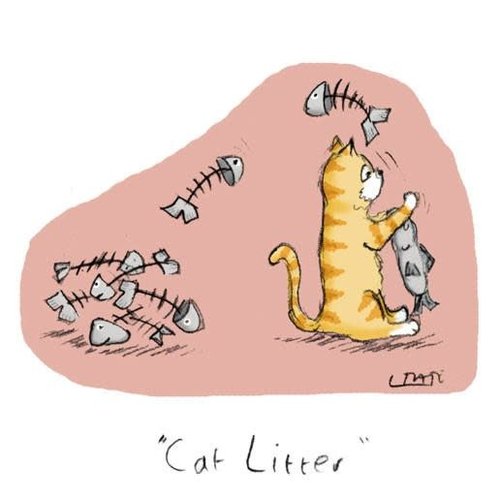 Cat Litter Greeting Card Cat Litter Greeting Card