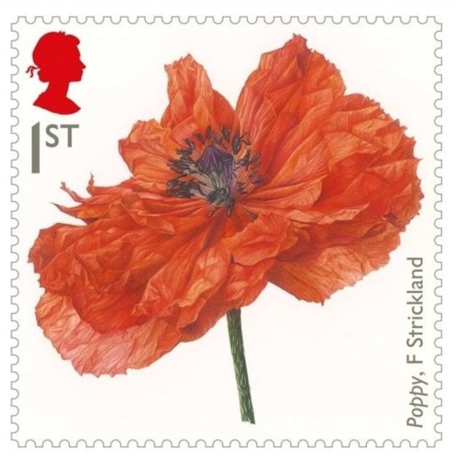 Poppy Stamp Fridge Magnet