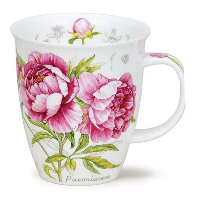 Nevis Botanical Sketch Peony Mug