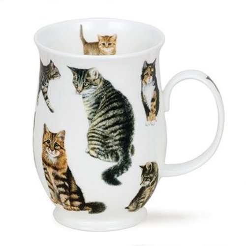 Dunoon Suffolk Cats Tabby Mug Dunoon Suffolk Cats Tabby Mug