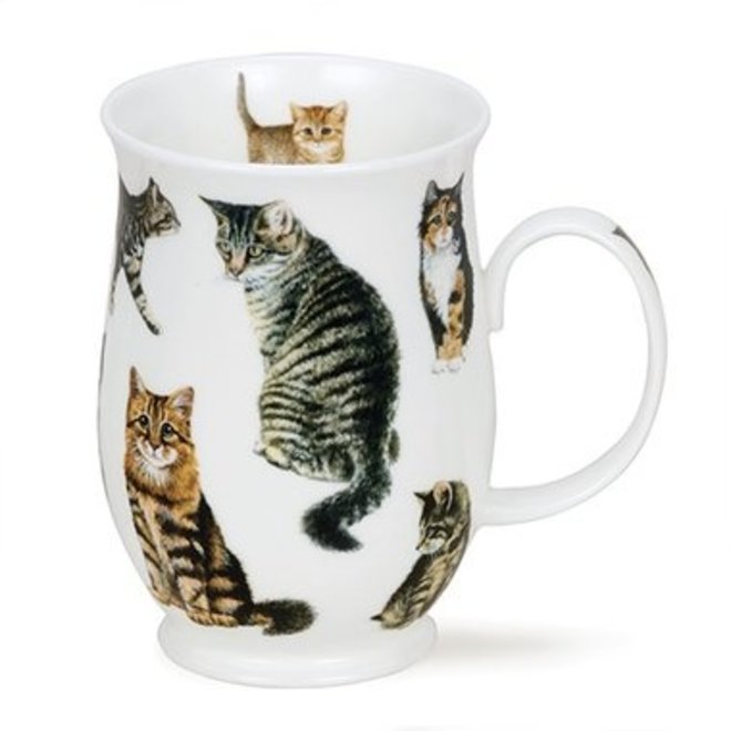 Suffolk Cats Tabby Mug