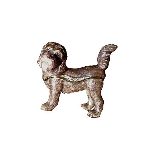 Kingspoint Designs Kingspoint Designs Brother Labradoodle Kingspoint Designs Kingspoint Designs Brother Labradoodle