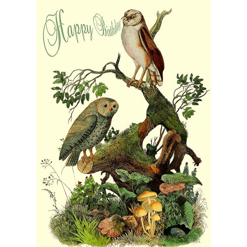 Owls in the Wood Card Owls in the Wood Card