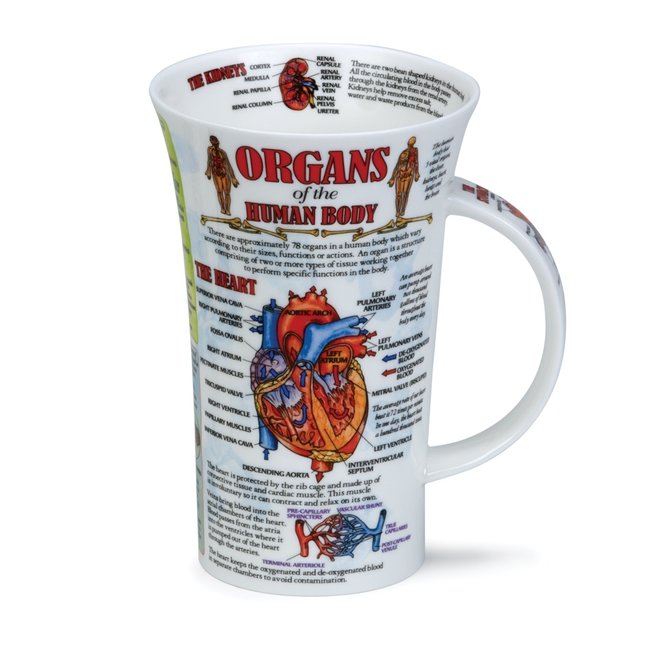 Glencoe Organs of the Human Body Mug