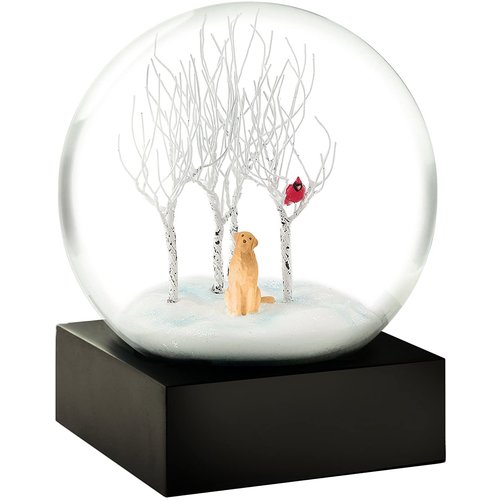 Cool Snow Globes Cool Snow Globes Cardinal Singing Cool Snow Globes Cool Snow Globes Cardinal Singing
