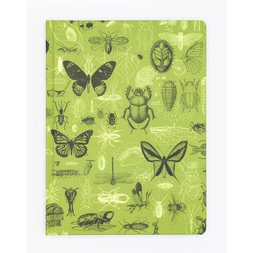 Insects Plate 3 Notebook Insects Plate 3 Notebook