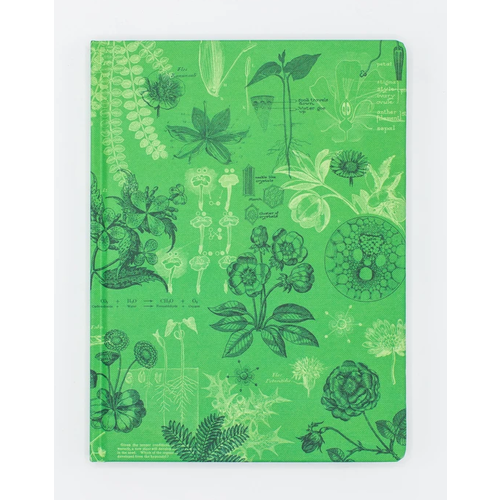 Botany Plate 2 Notebook Botany Plate 2 Notebook
