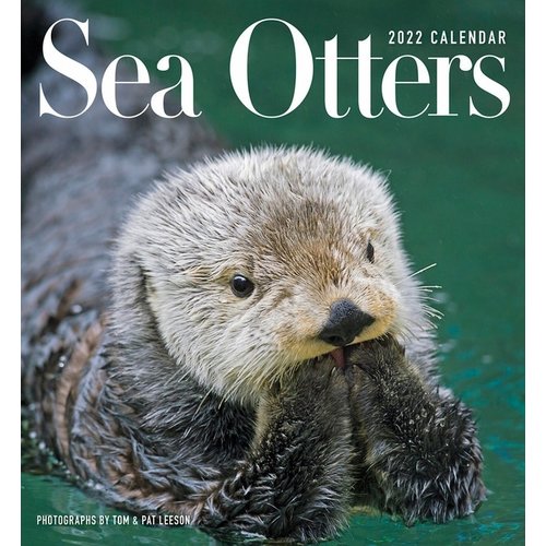 Pomegranate Sea Otters 2022 Wall Calendar Pomegranate Sea Otters 2022 Wall Calendar