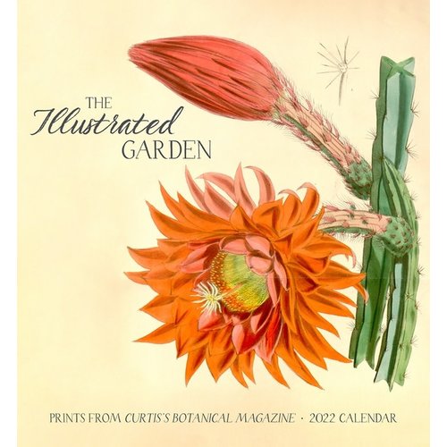 Pomegranate The Illustrated Garden 2022 Wall Calendar Pomegranate The Illustrated Garden 2022 Wall Calendar