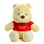 Winnie the Pooh with Red Shirt Small Plush