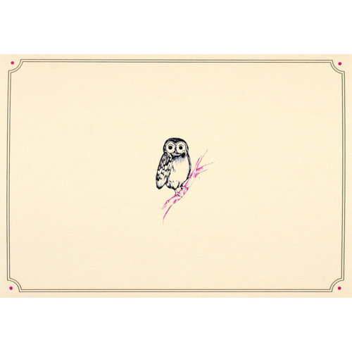 Owl Portrait Notecards Owl Portrait Notecards