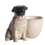Pug with Egg Cup Fawn