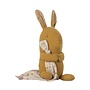 Lullaby Friends Bunny