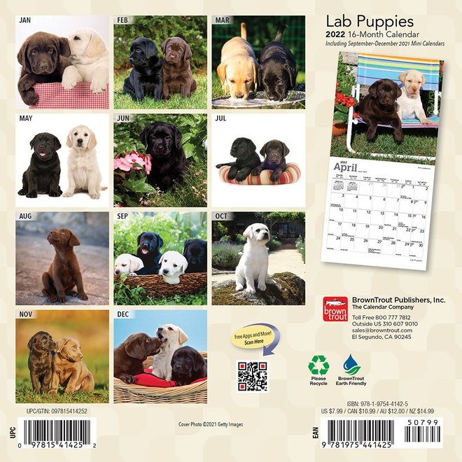 Lab Puppies 2022 Mini Calendar